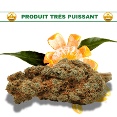 Fleur de CBD et CBC Gorilla Mandarine 16%