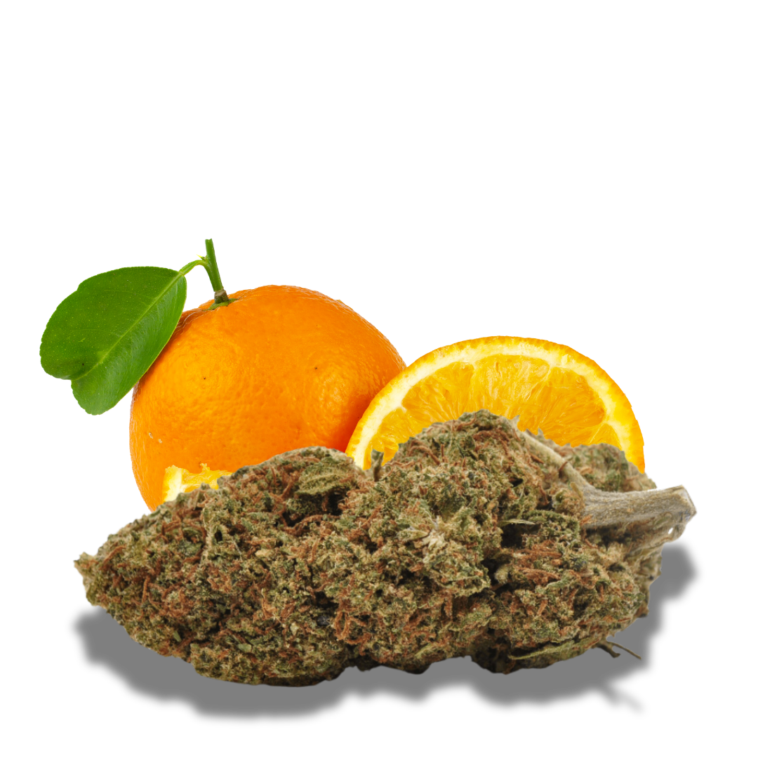 Fleur de CBD Orange Bud Glass House 10%