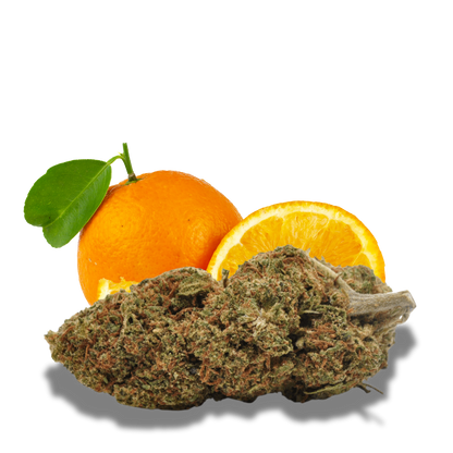 Fleur de CBD Orange Bud Glass House 10%