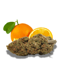 Fleur de CBD Orange Bud Glass House 10%