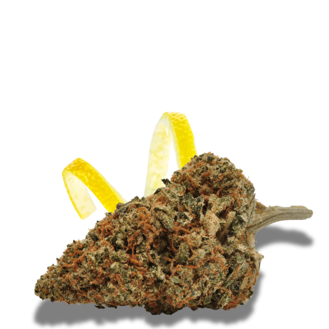 Fleur de CBD Lemon Kush Pop Indoor 25%