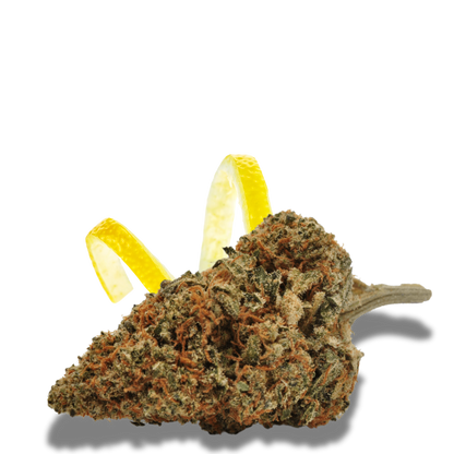 Fleur de CBD Lemon Kush Pop Indoor 25%