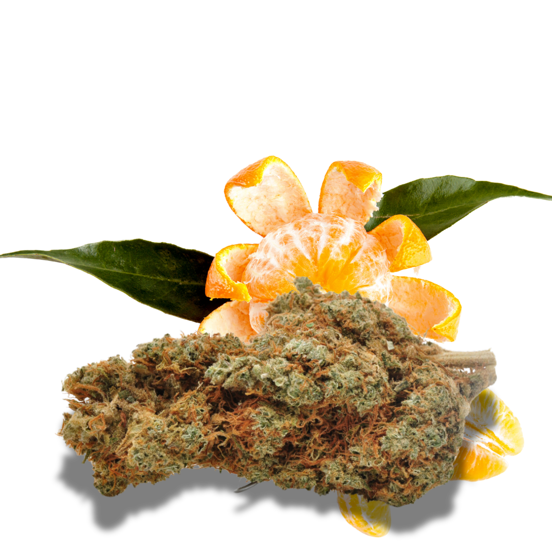 Fleur de CBD Gorilla Mandarine 12%