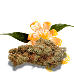 Fleur de CBD Gorilla Mandarine 12%