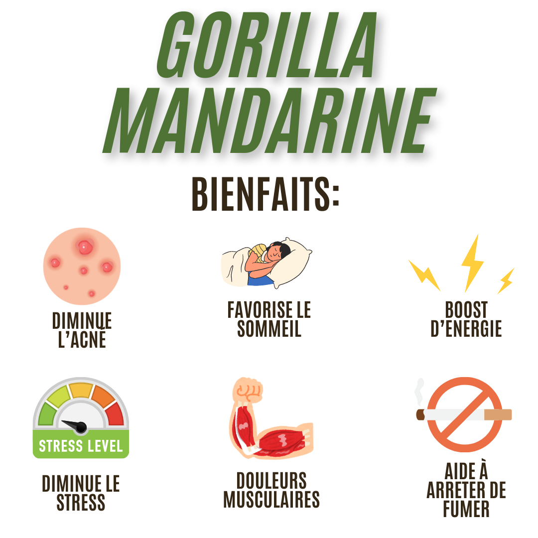 Fleur de CBD et CBC Gorilla Mandarine 16%