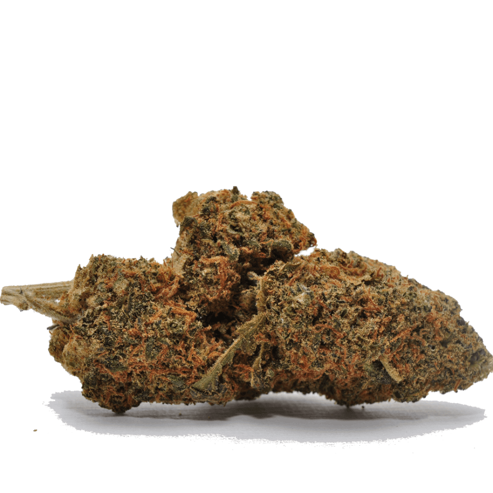 Fleur de CBD Chocolope 14%